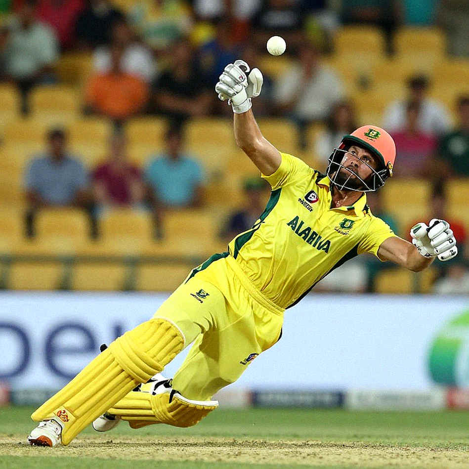Silent Feeds, Loud Rumours: The Cricket Data Lost in the Transfer Window